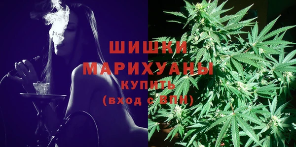 дмт Аркадак