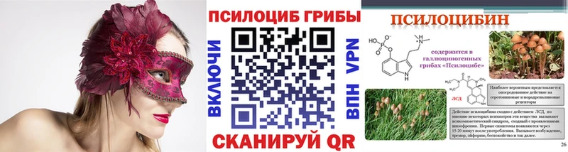 Псилоцибиновые грибы GOLDEN TEACHER  Новодвинск 